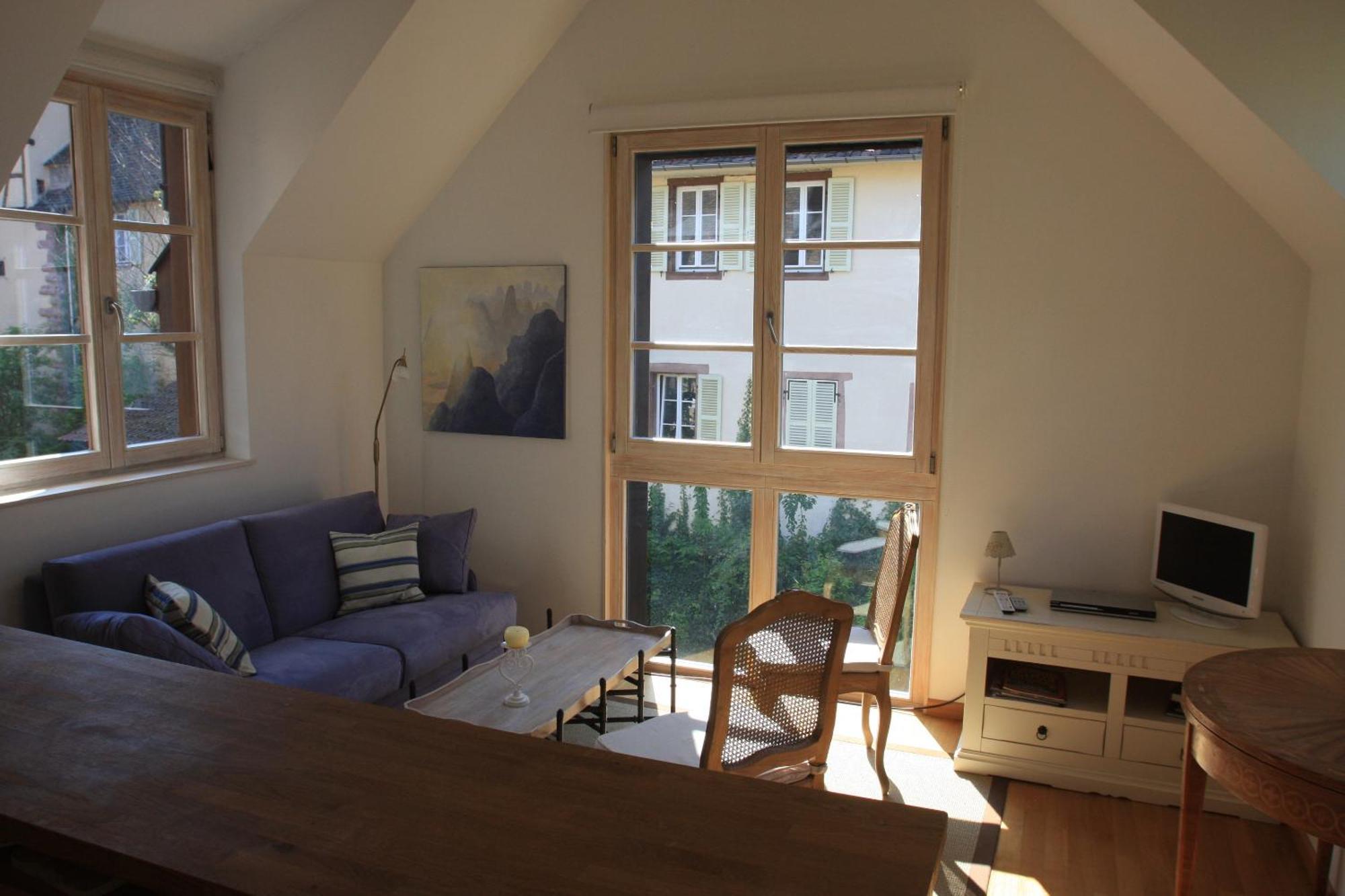 Petite Venise Apartman Colmar Kültér fotó