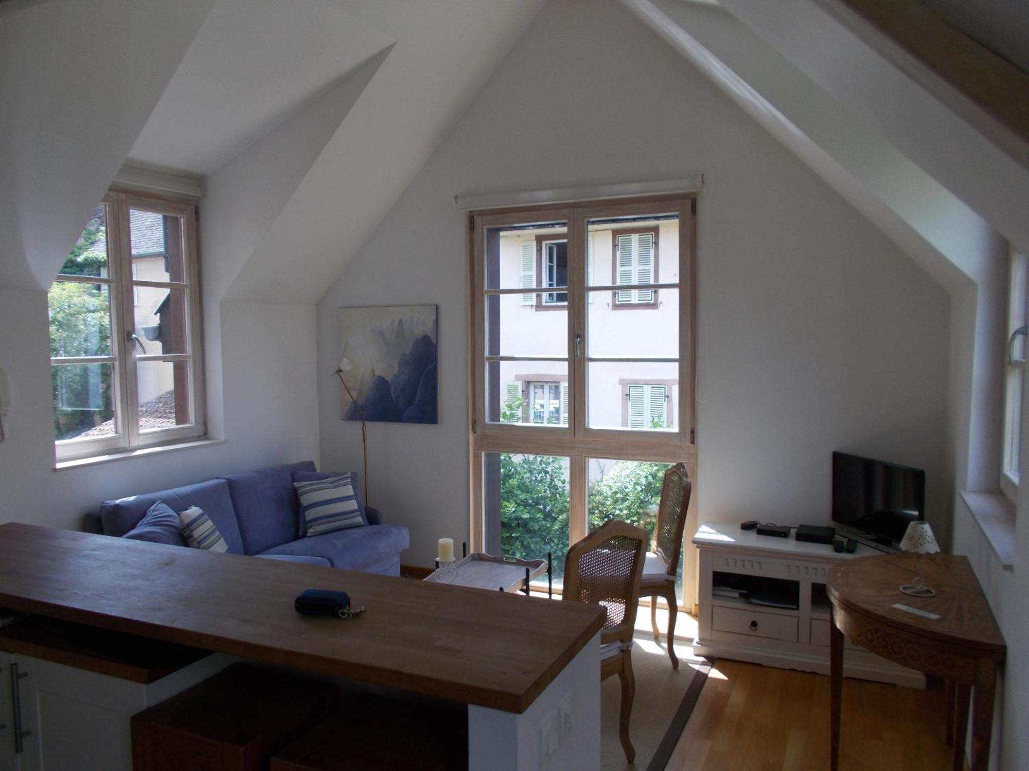 Petite Venise Apartman Colmar Kültér fotó